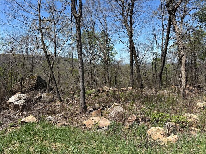 Property Photo:  Lot 40 Peaceful Place  AR 72601 