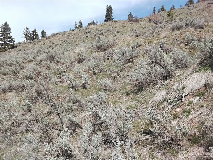 Property Photo: 71 Desparado Road WA 98844