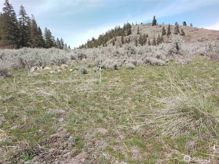 143  Lower White Rock Road  Oroville WA 98844 photo