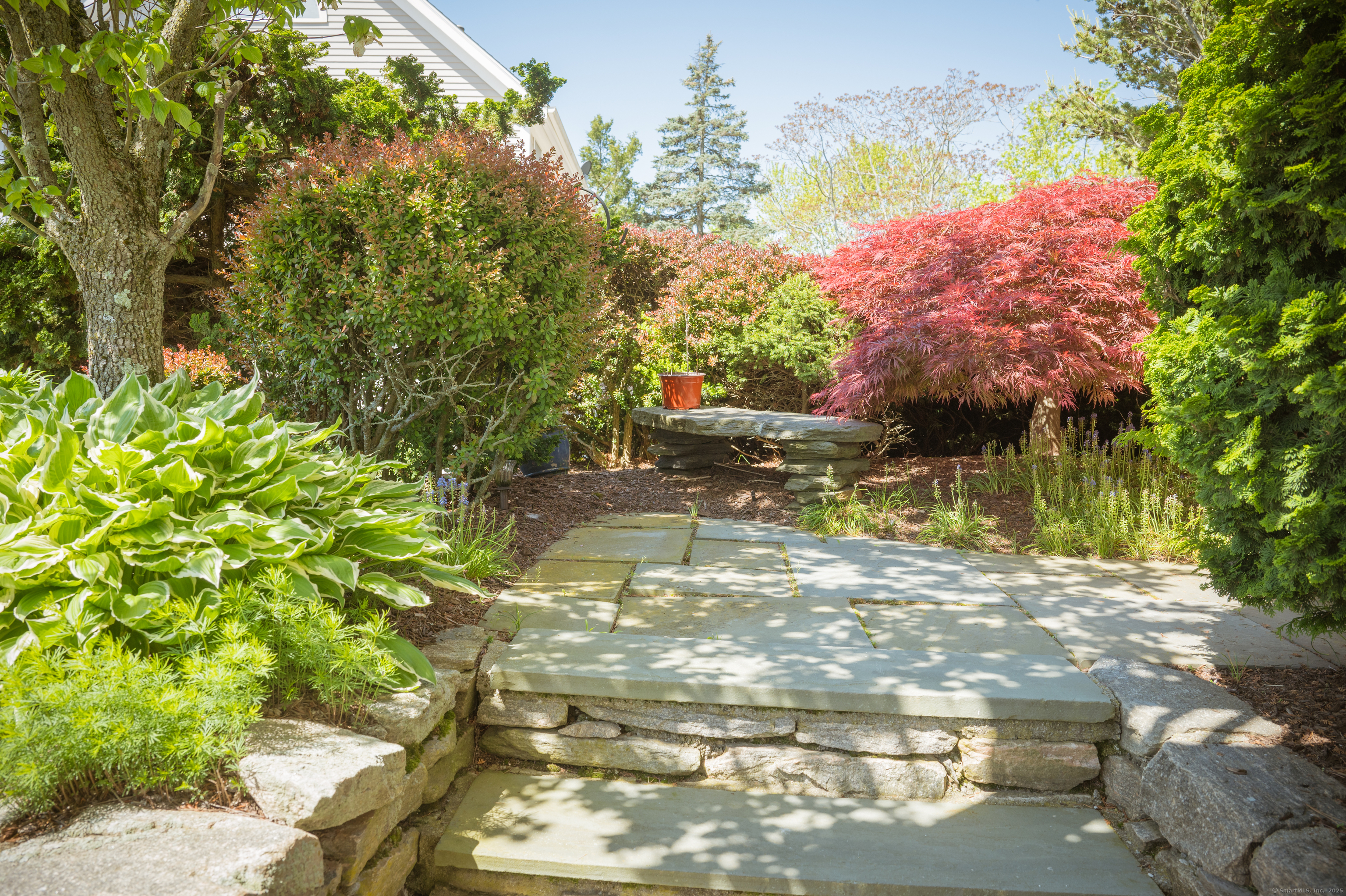 Property Photo: 78 Limewood Avenue CT 06405
