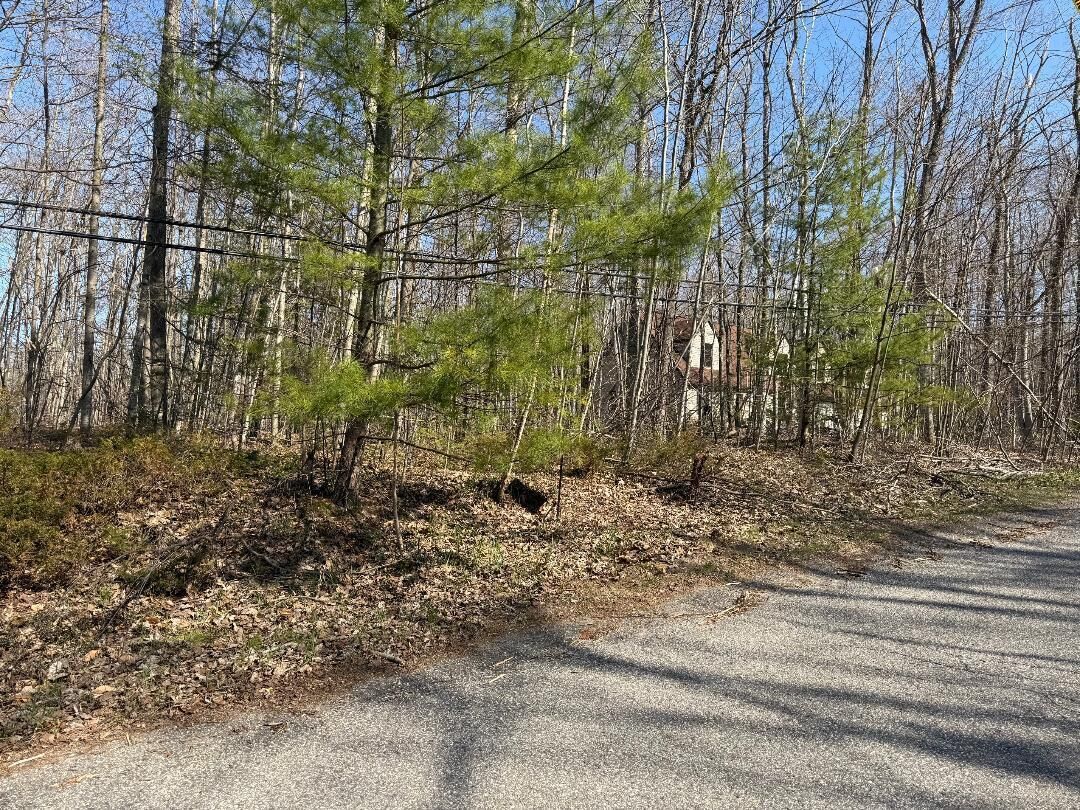 Property Photo: 14222 Straitsview Drive MI 49721