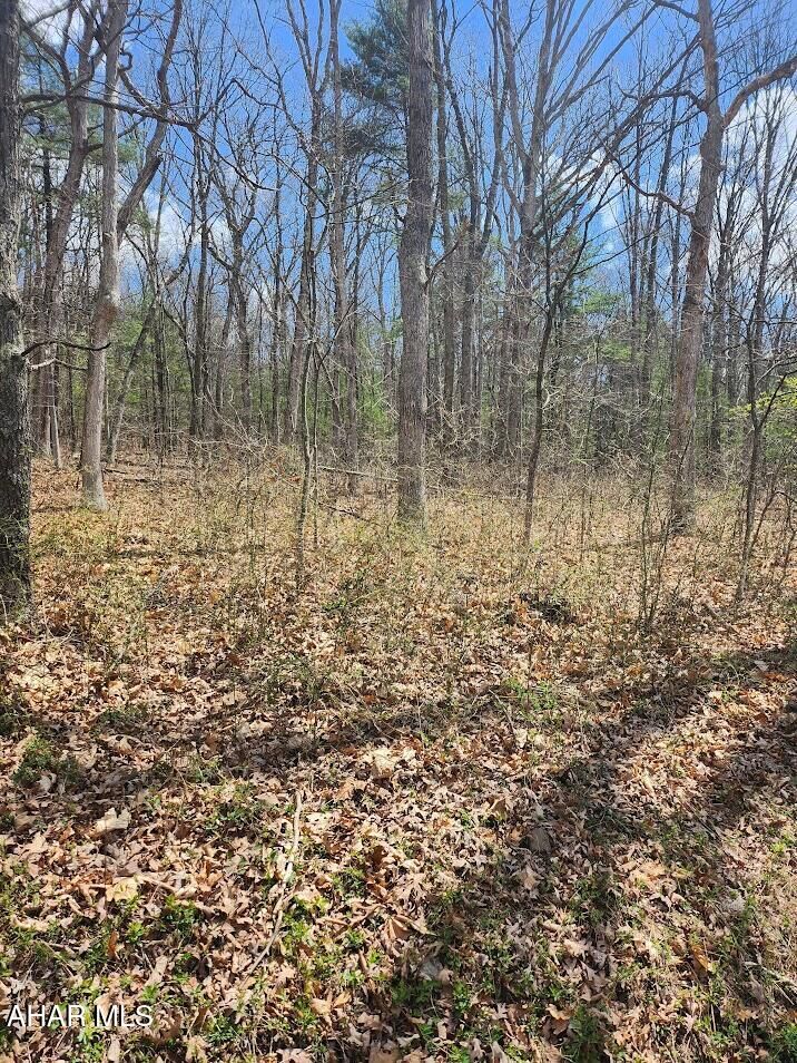 361 Mechanics Hollow Road  Clearville PA 15535 photo