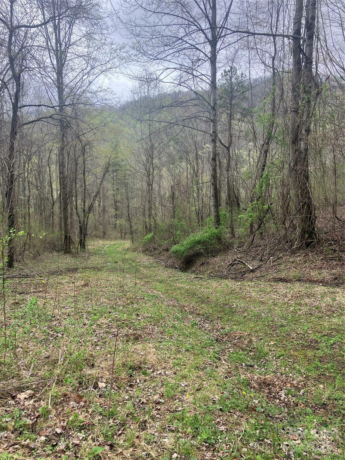 Property Photo: 9999 Davidson Gap Road NC 28748