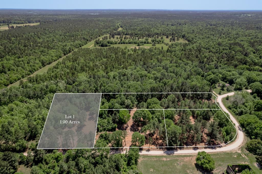 6077 Tract 1 Cr 4200  Pennington TX 75856 photo