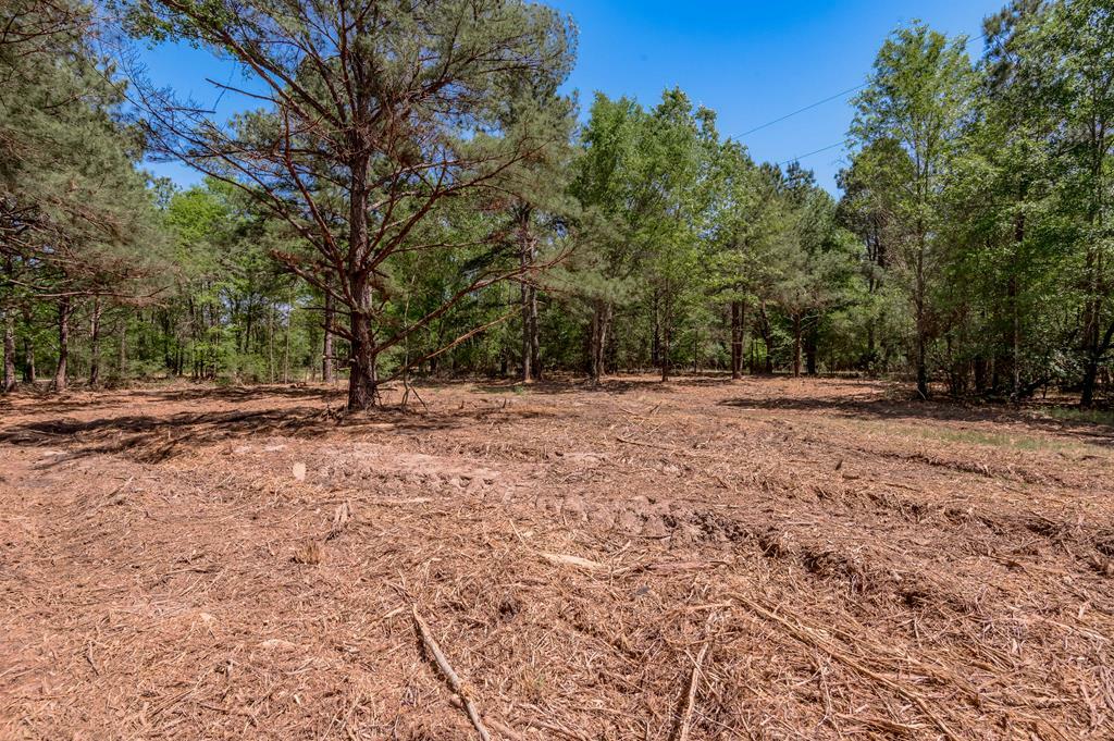 Property Photo: 6077 Tract 3 Cr 4200 TX 75856