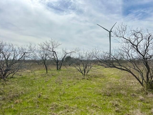 Property Photo: Tbd SW Cr 4260 TX 76639