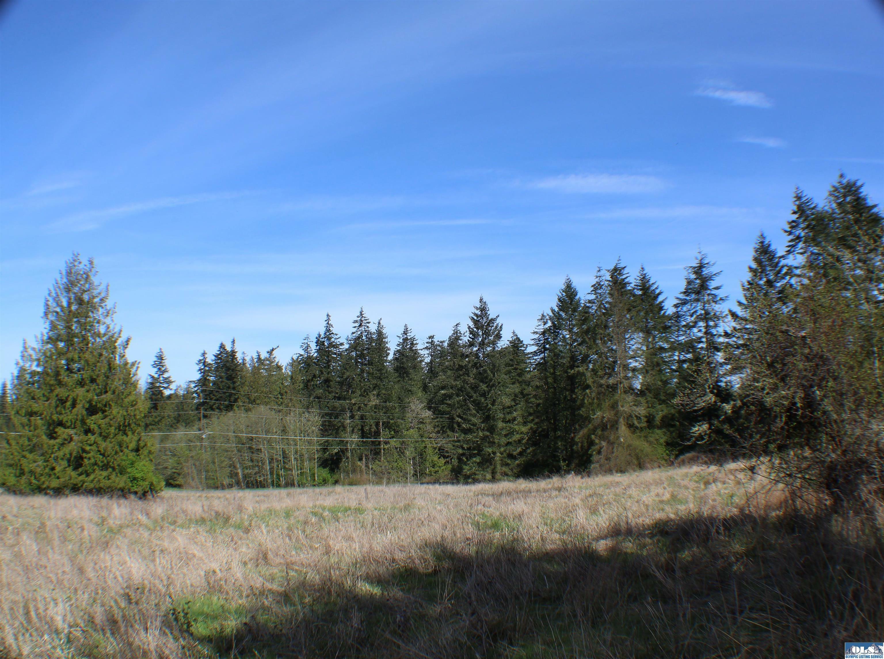 999 Oso Vista  Sequim WA 98382 photo