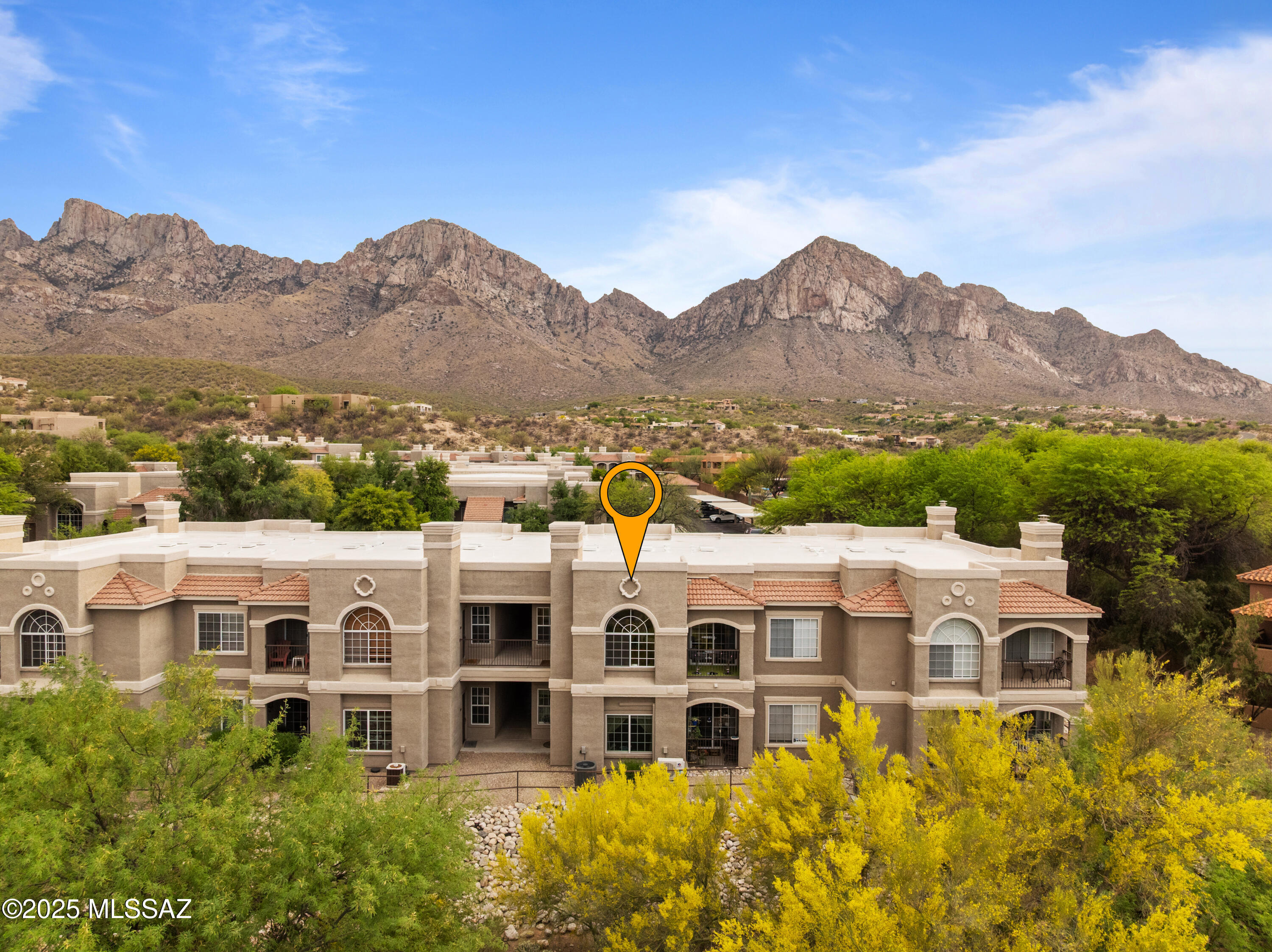 Property Photo:  1500 E Pusch Wilderness Drive Unit 2202  AZ 85737 