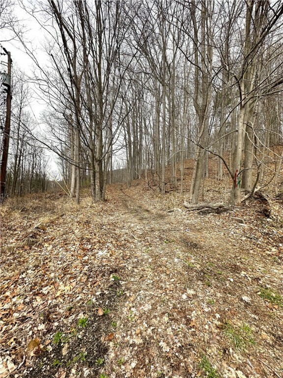 Property Photo: 7607 Snell Road NY 14840