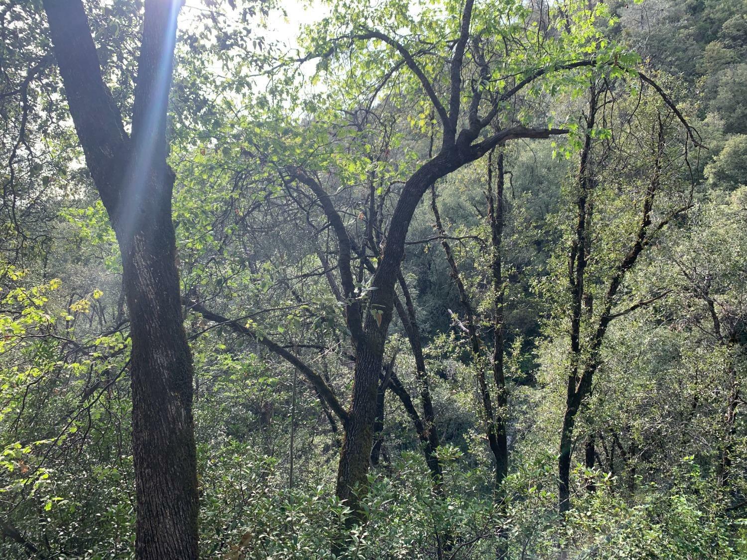 Property Photo: 1885 Pennsylvania Gulch Road CA 95247
