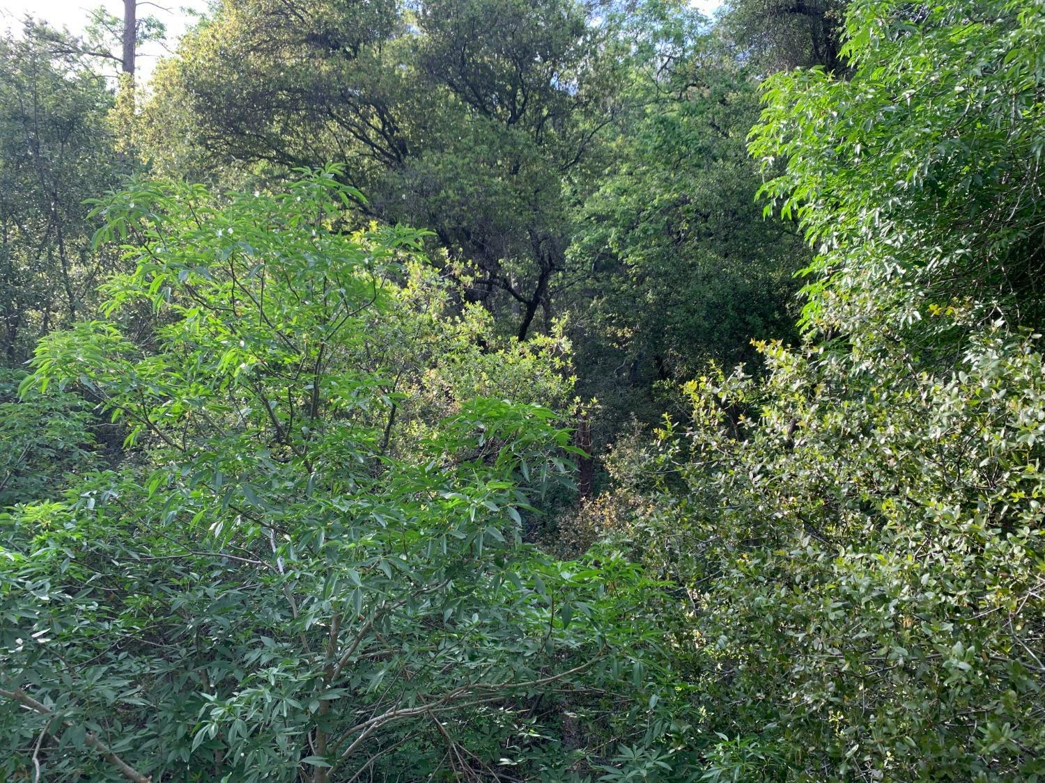 Property Photo: 1779 Pennsylvania Gulch Road CA 95247