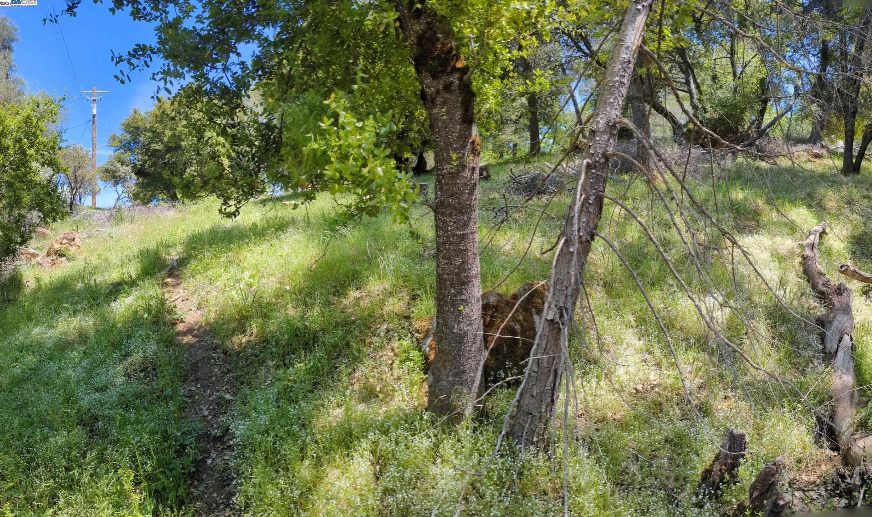Property Photo: 21201 Crystal Falls Dr CA 95370