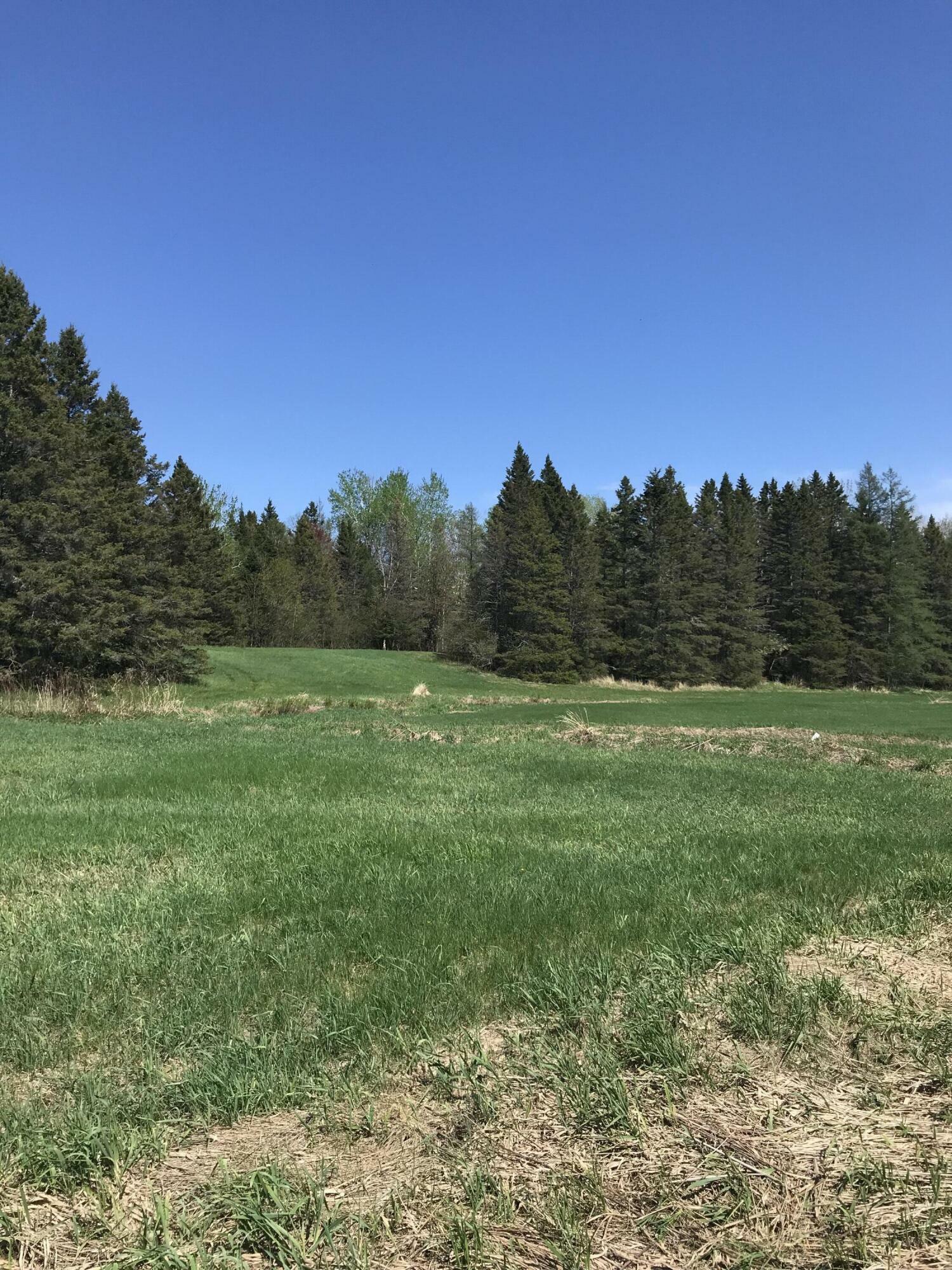Property Photo: Tbd E Sand Ridge Rd MI 49736