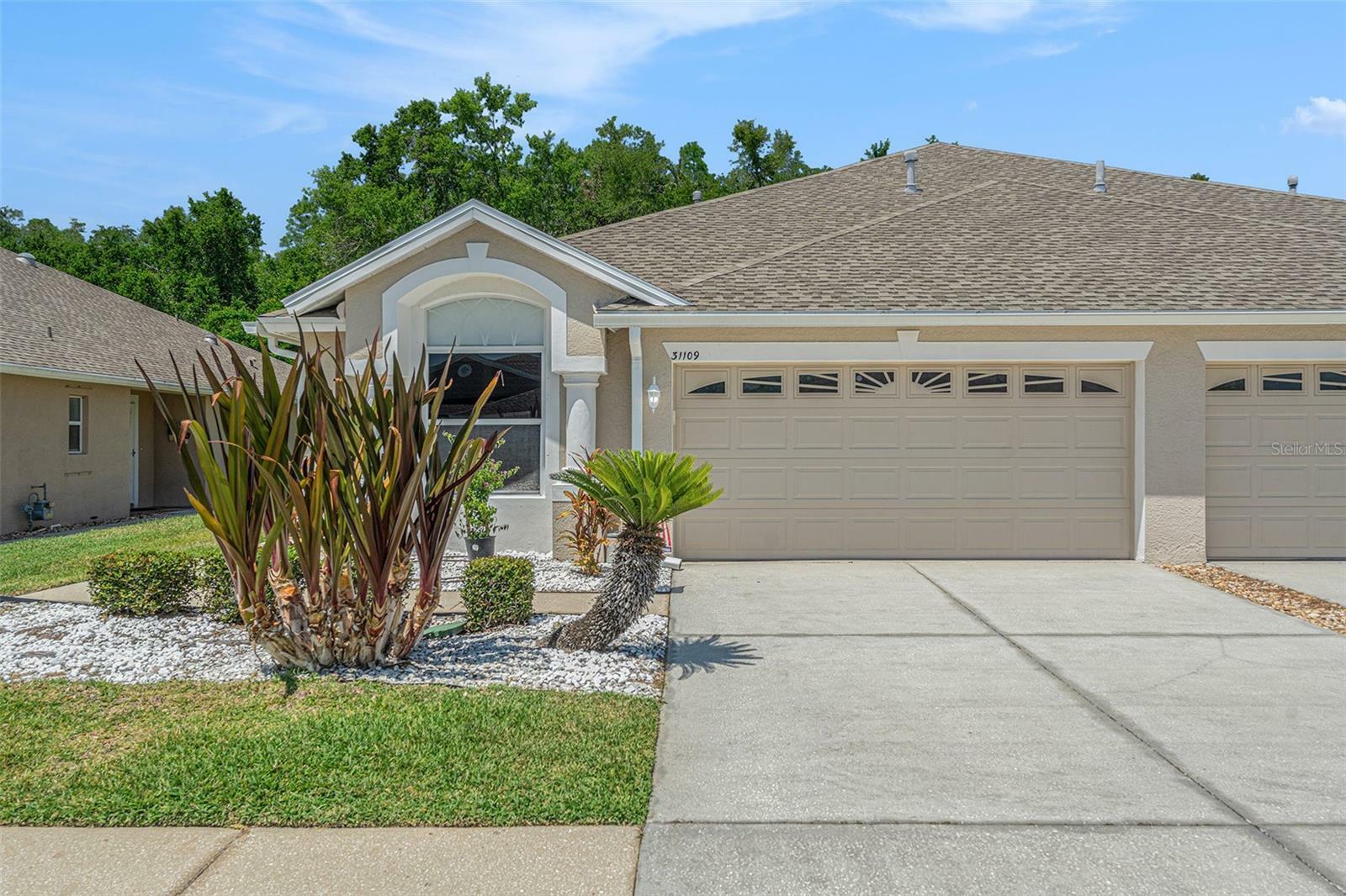 31109 Whitlock Drive  Wesley Chapel FL 33543 photo