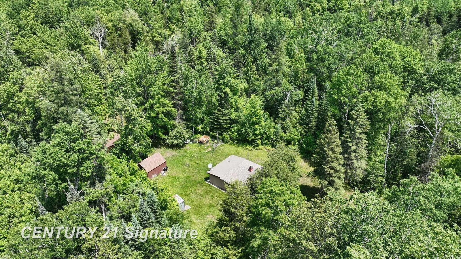 Property Photo: 6002 Wildwood Drive MI 48610