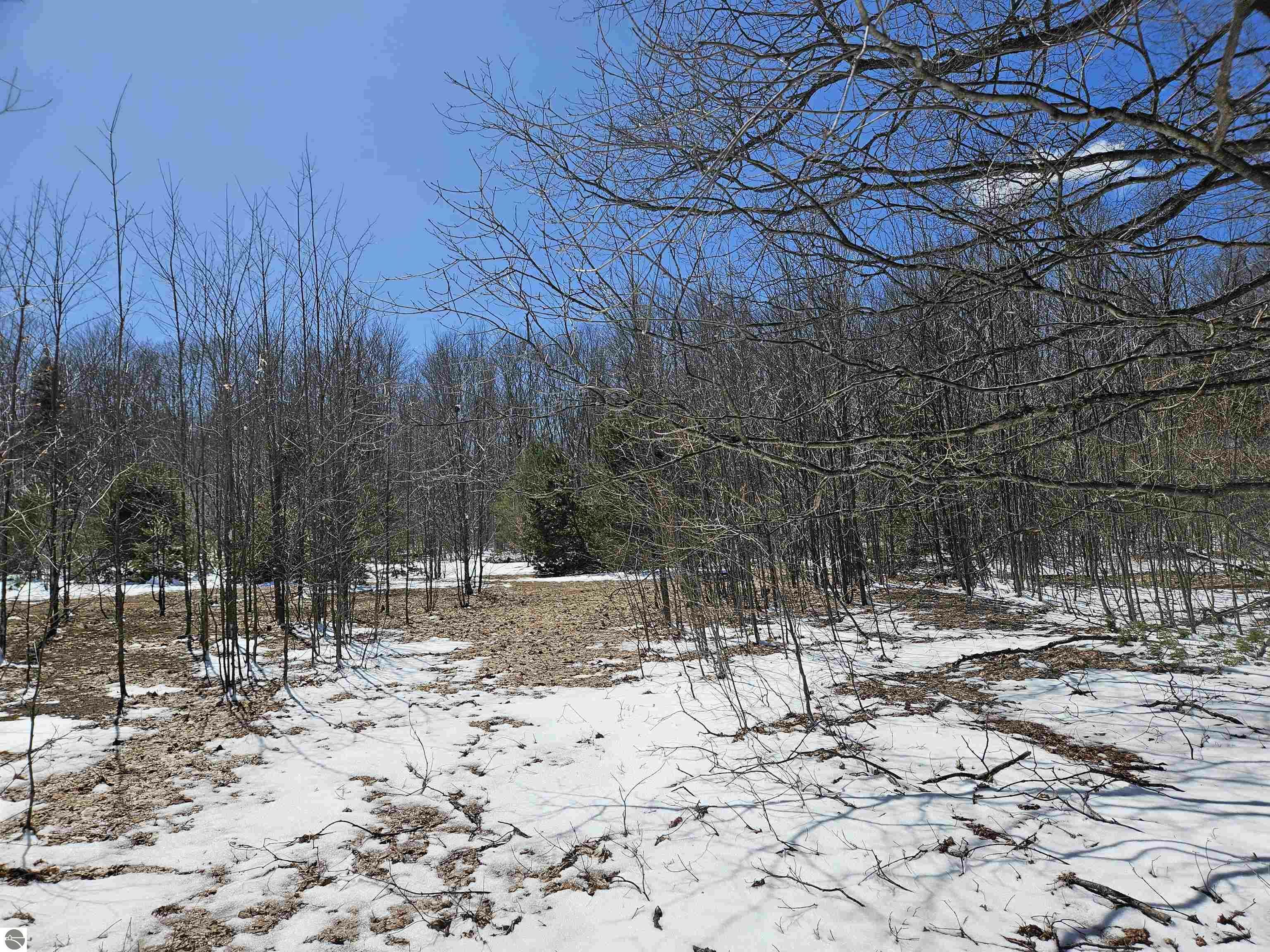 Property Photo: 0000 V/L "C" Grass Lake Road MI 49646