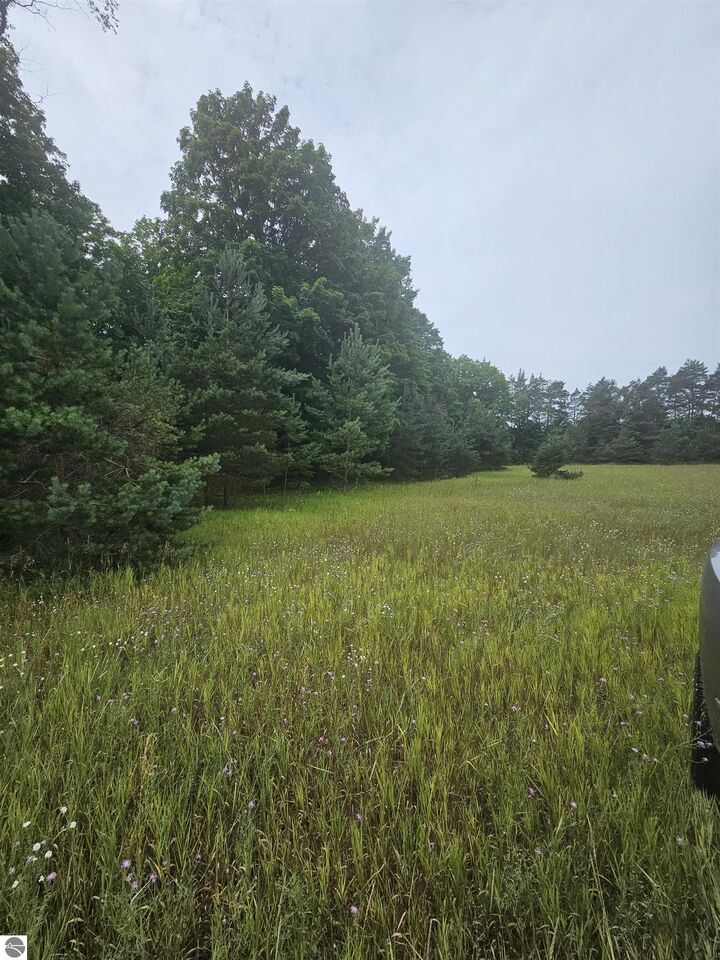 Property Photo: 0000 V/L "C" Grass Lake Road MI 49646
