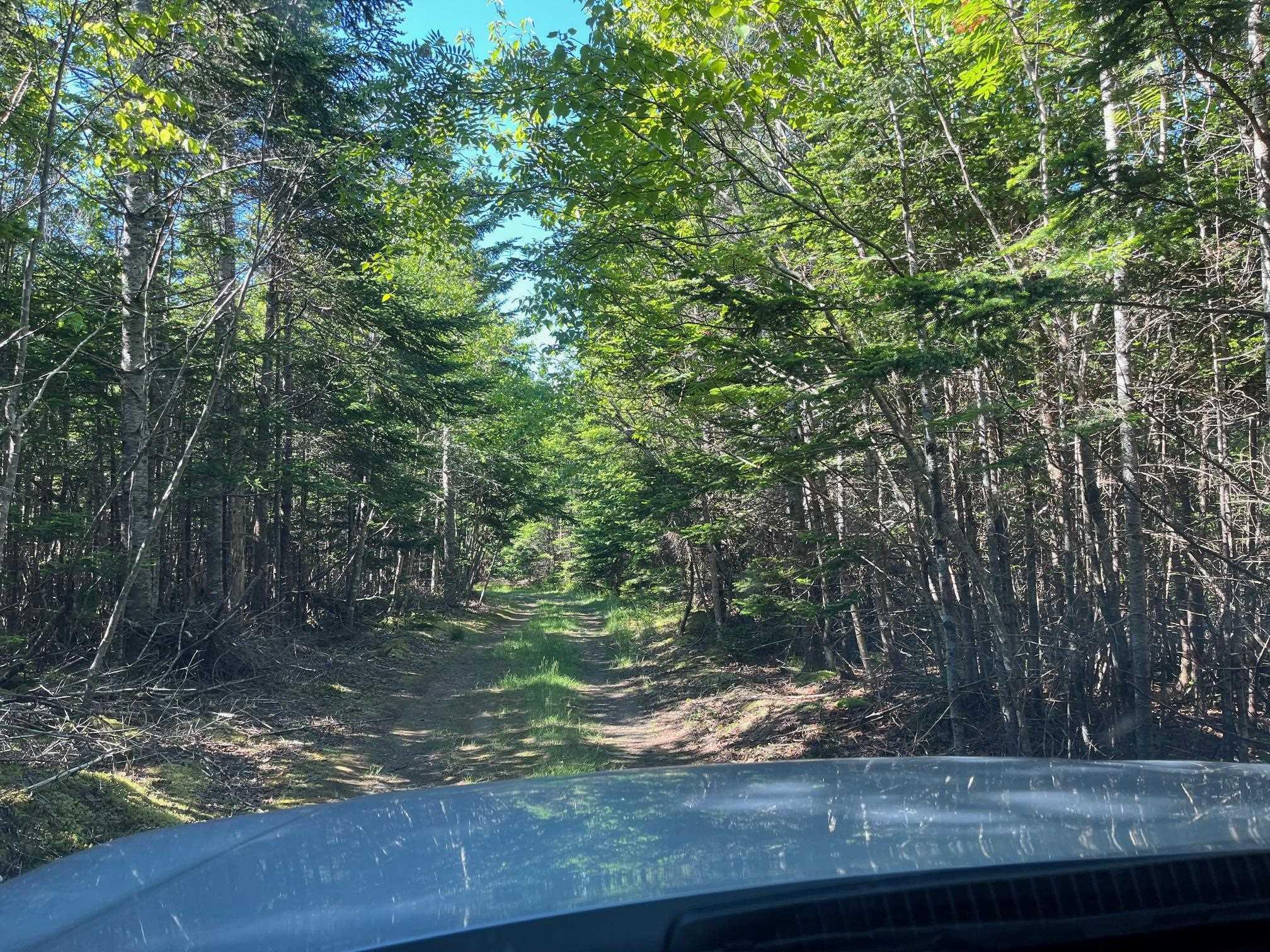 Photo de la propriété: 8208 Highway 209 NS B0M 1S0