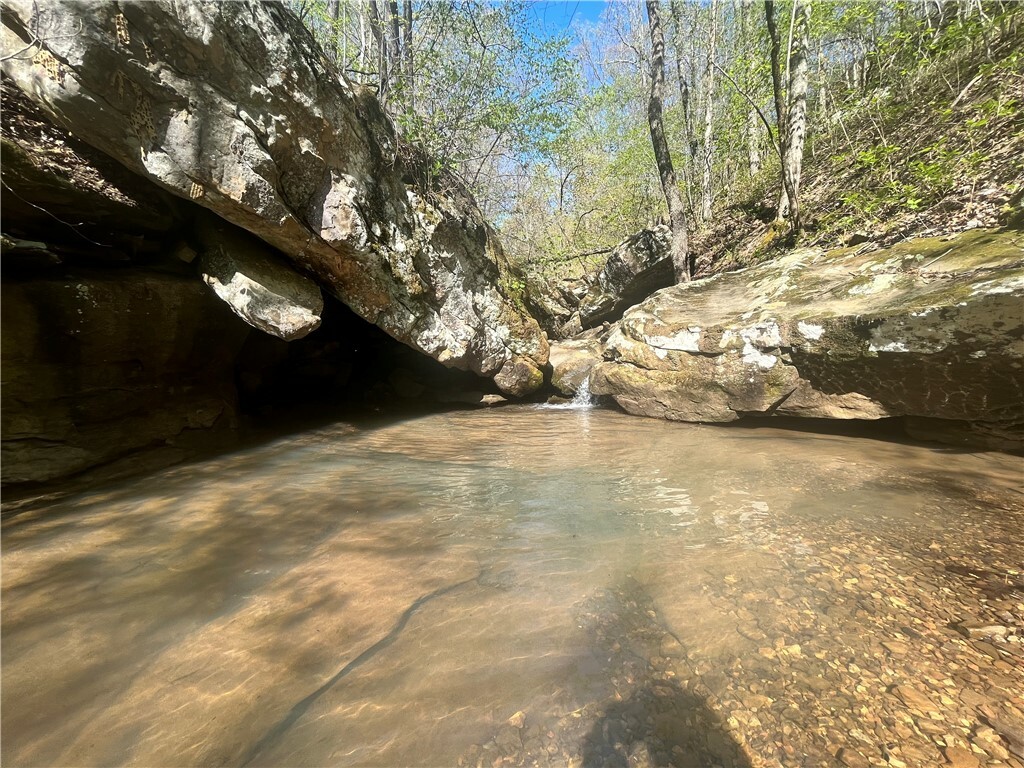 142 Nc 8389  Jasper AR 72641 photo