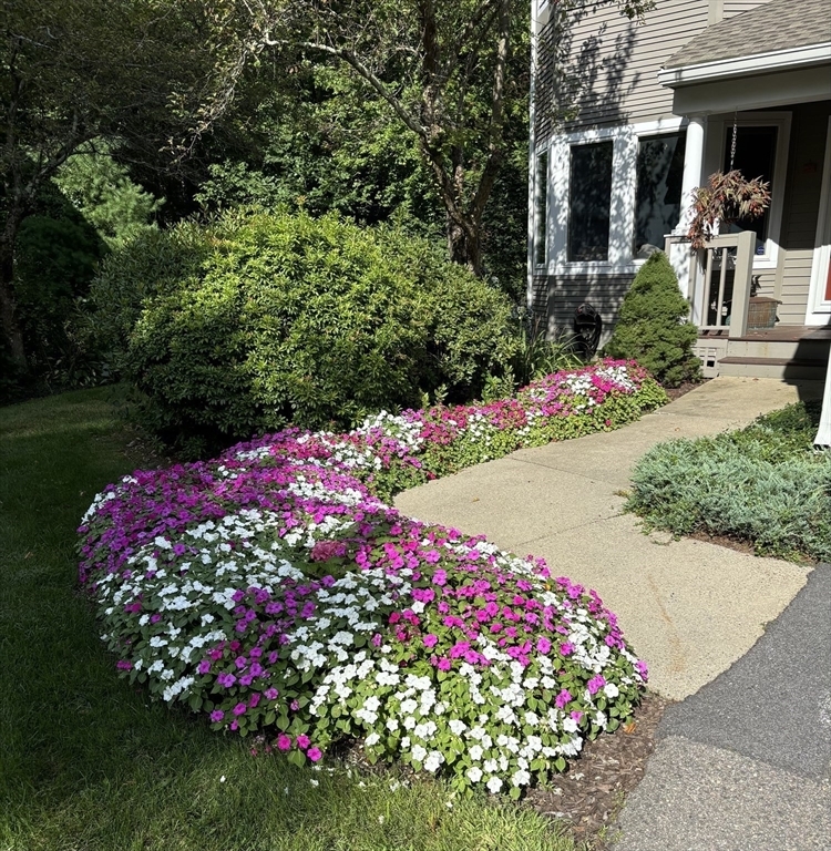 Property Photo:  13 Cannon Forge Dr 13  MA 02035 