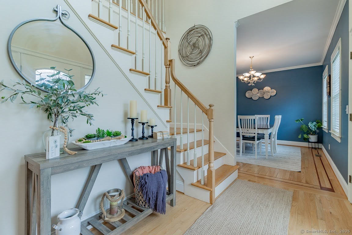 Property Photo: 55 Catherine Drive CT 06067