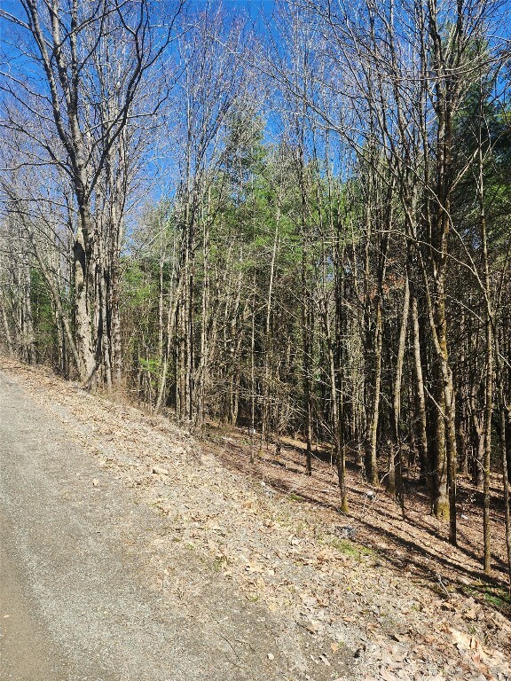 234 Tarbell Hill Road  Deposit NY 13754 photo