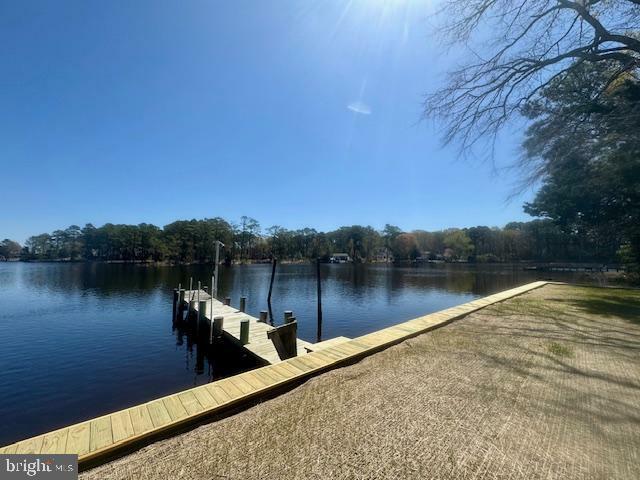 Property Photo: 12203 Nanas Way Lane MD 21842