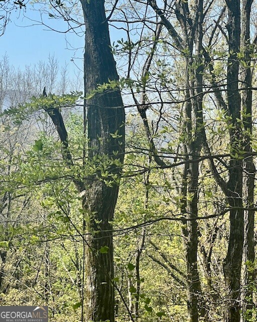 Property Photo: 450 Wild Turkey Bluff GA 30534