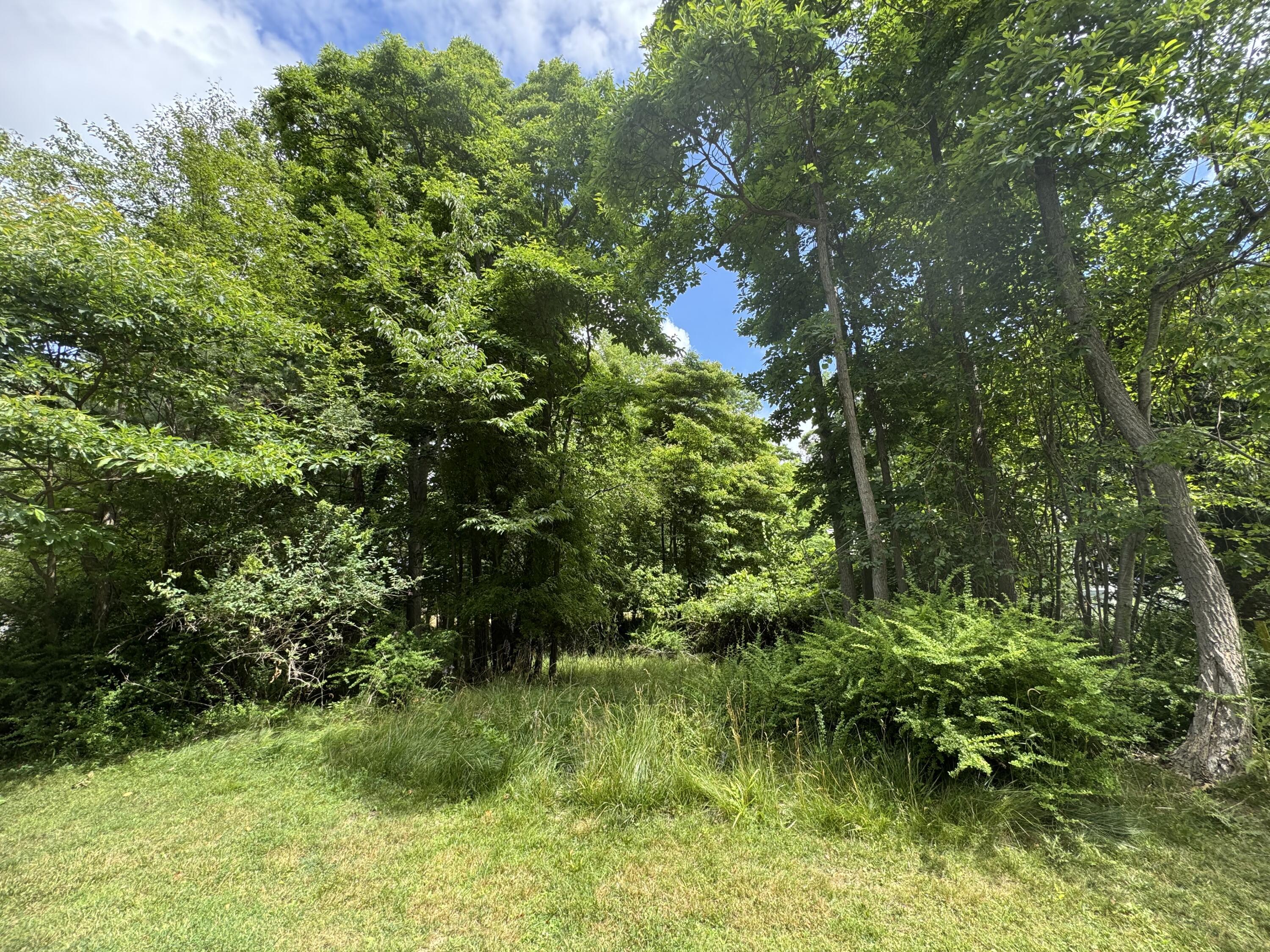 125 W Shore Woods  Douglas MI 49406 photo