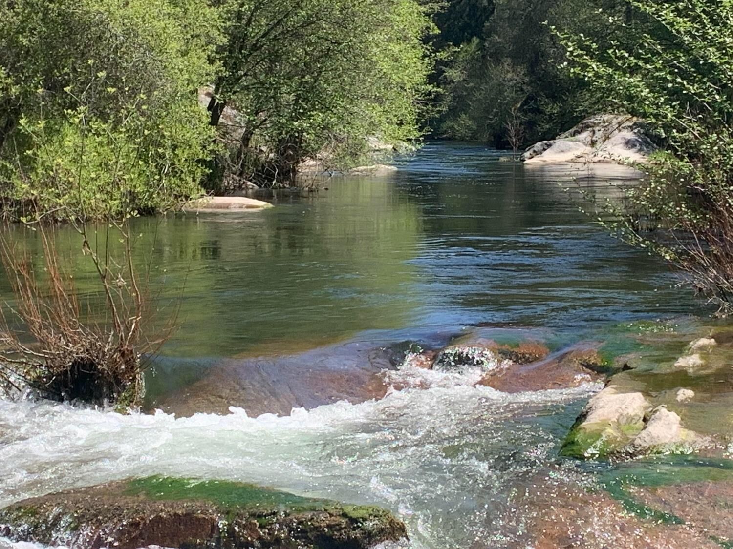 Property Photo:  1 Outingdale Road  CA 95684 