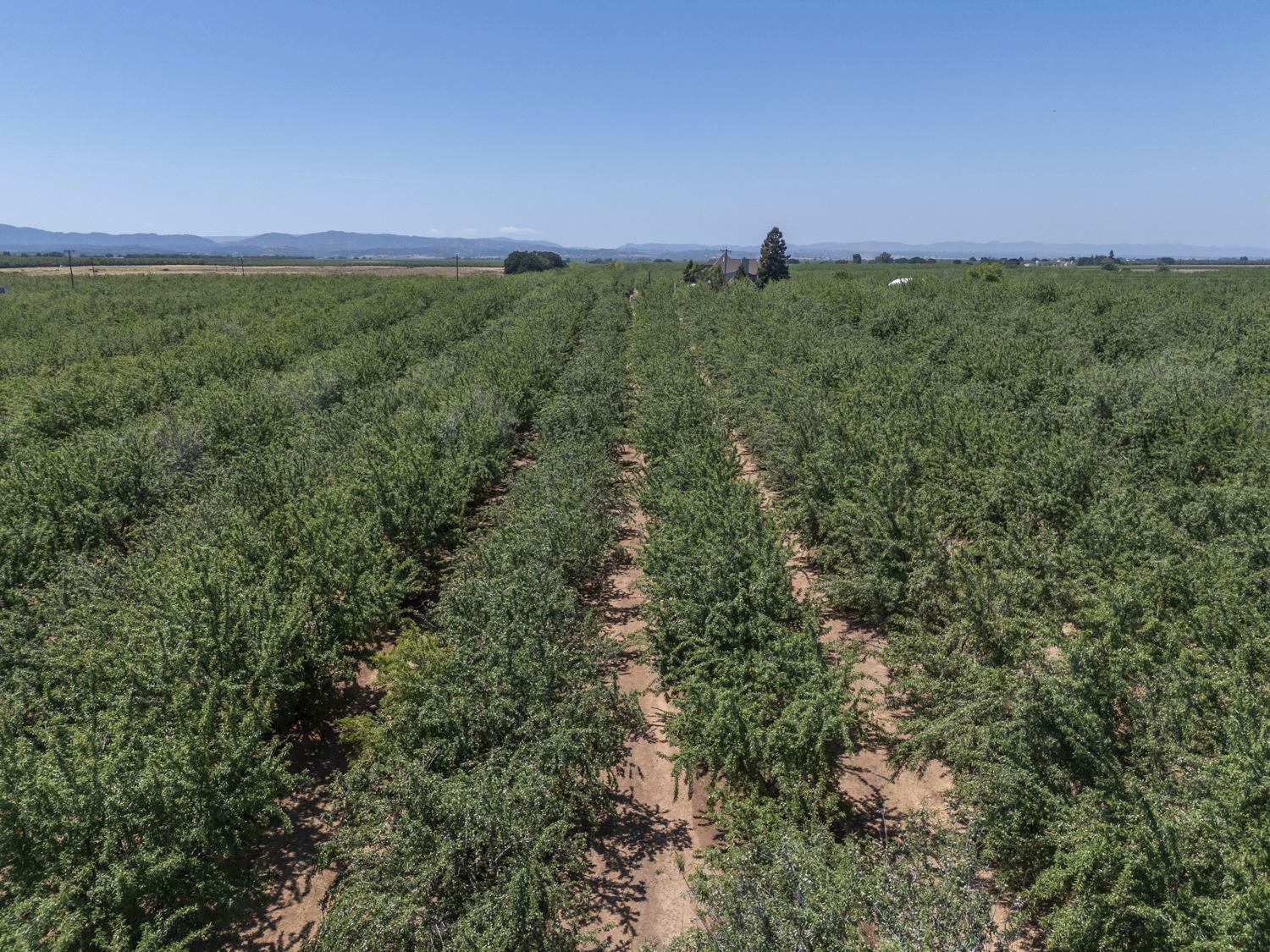 Property Photo: 1450 Alexander Hill Lane CA 95937
