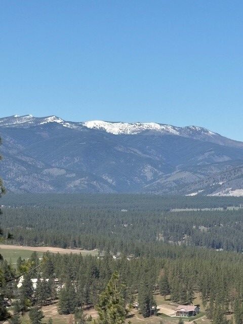 Property Photo:  Nkn West Fork Combest Creek Road  MT 59859 