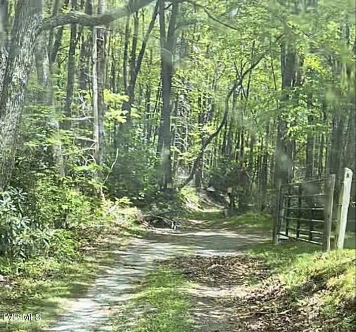 1259 Heaton Branch Road  Butler TN 37640 photo