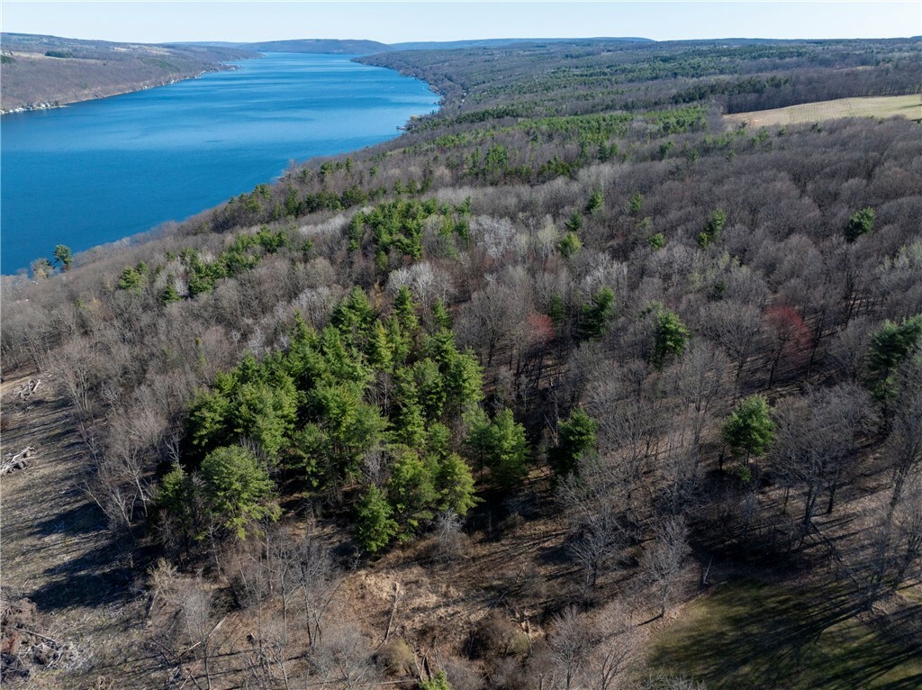 Property Photo: 0 County Route 87 Road NY 14840