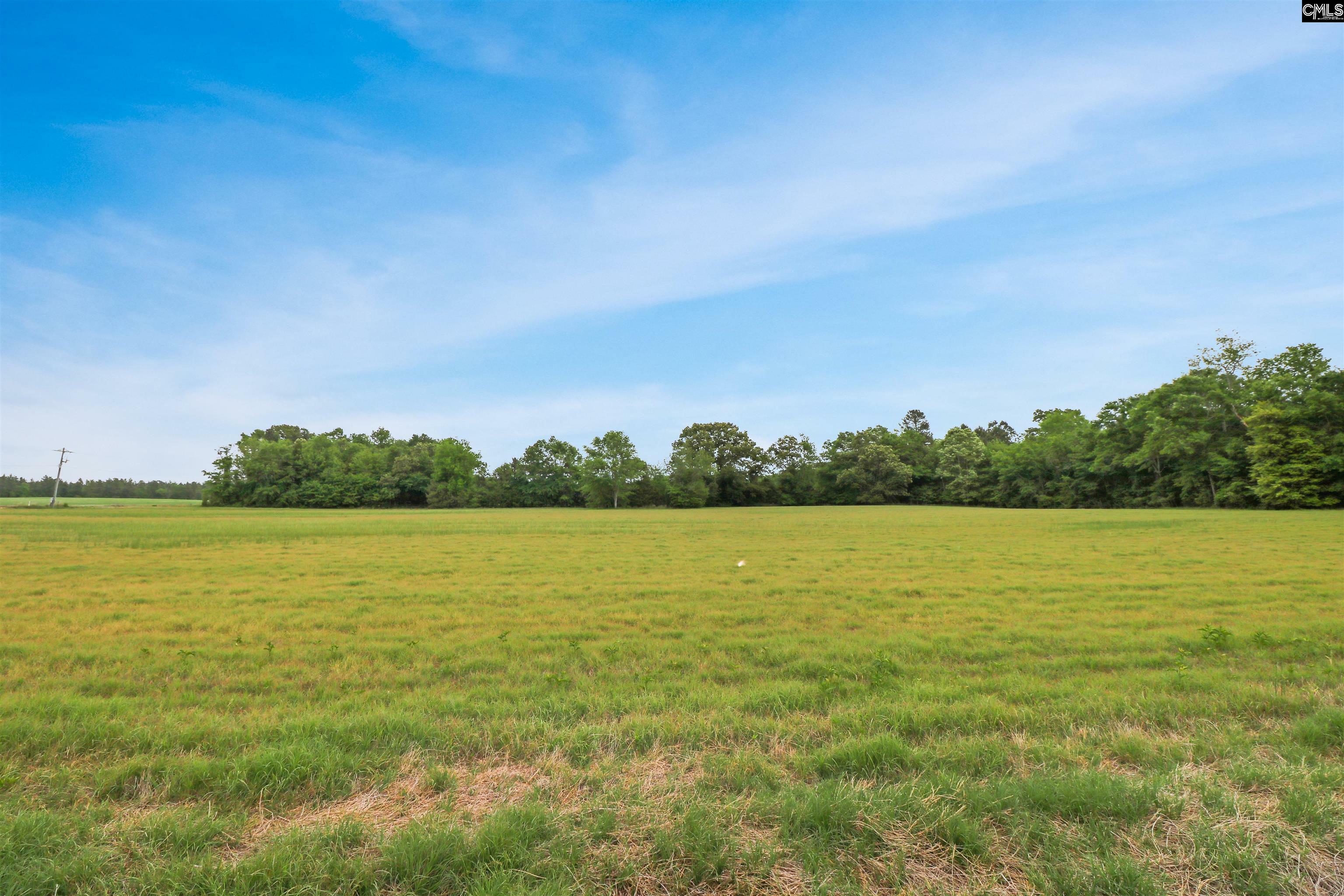 Property Photo: 0 Old Charleston SC 29054