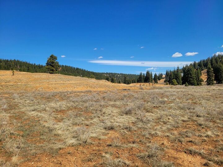 Property Photo:  520 N Grassy Trail  UT 84762