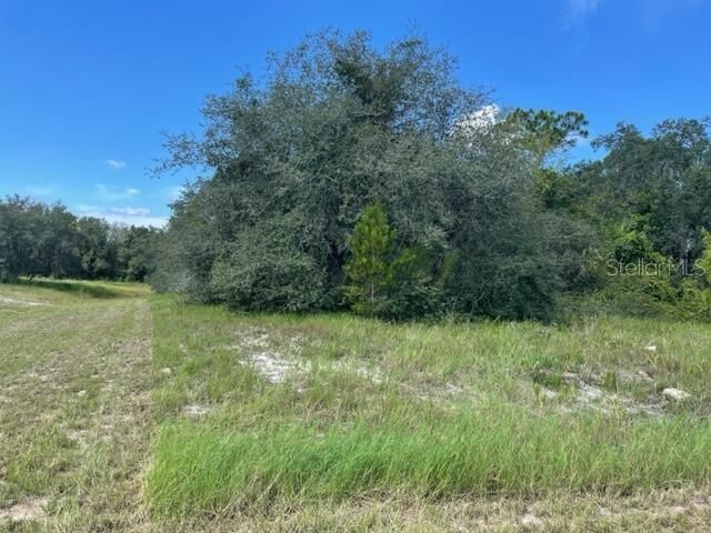 Property Photo: Kissimmee Way FL 34759