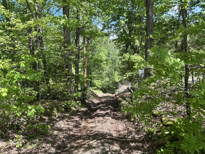 Property Photo: 1062 Joslin Branch Rd TN 37187