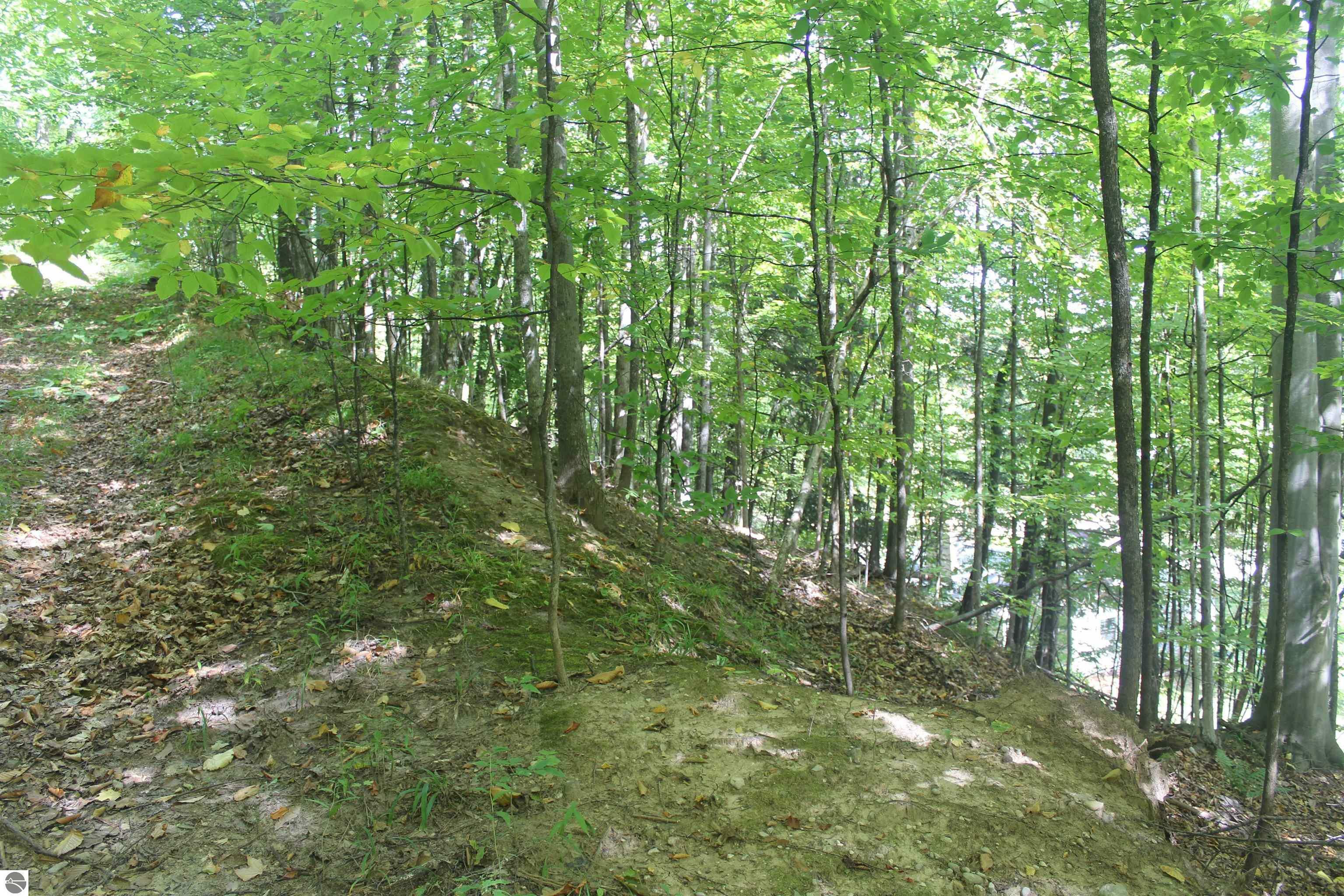 Property Photo: 000 Harbor Beach Drive MI 49676
