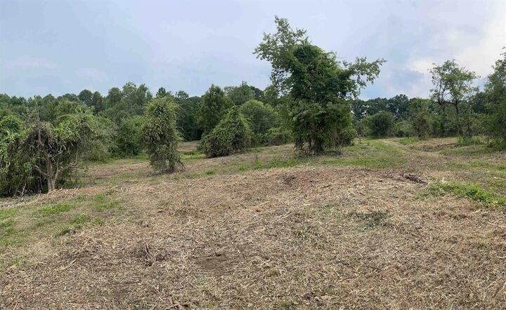 Property Photo: 67 Christian Hill Road NH 03031