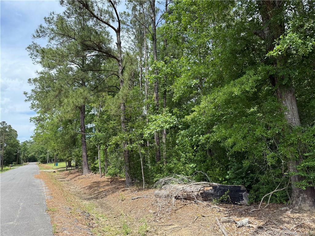 Property Photo: 0 White Oak Street LA 70668