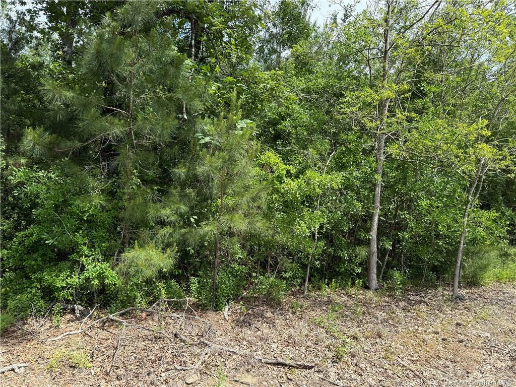 Property Photo:  0 Lisa Drive  LA 70668 