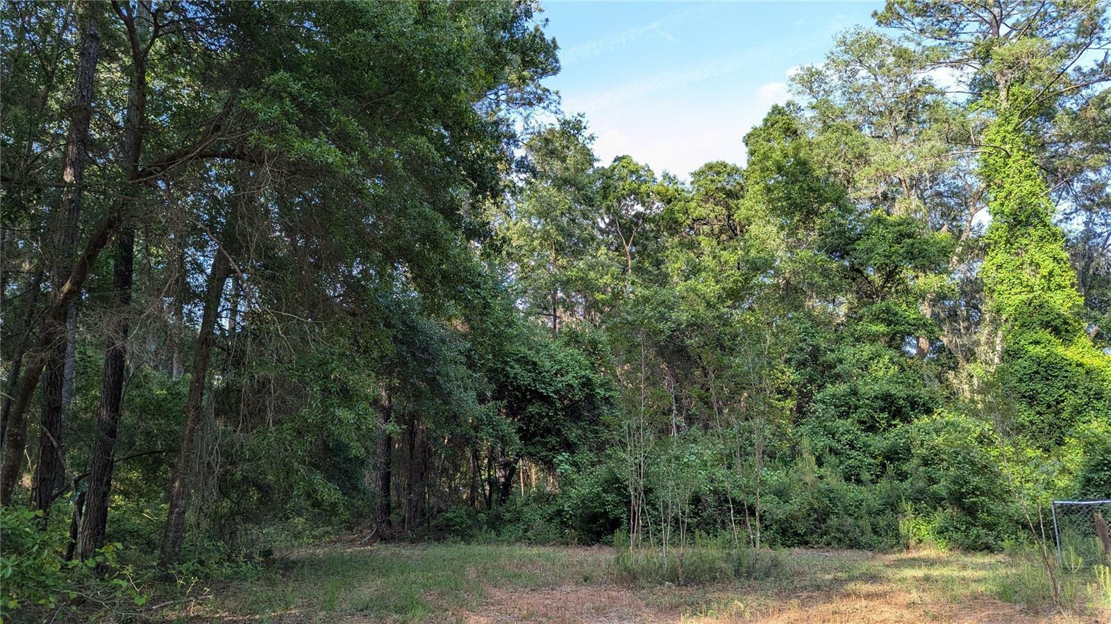 Property Photo:  303 SE 130th Terrace  FL 32641 