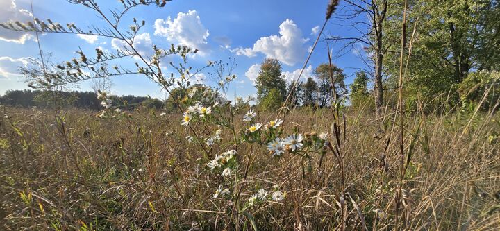 Property Photo: 8692 E Baseline Road MI 48858
