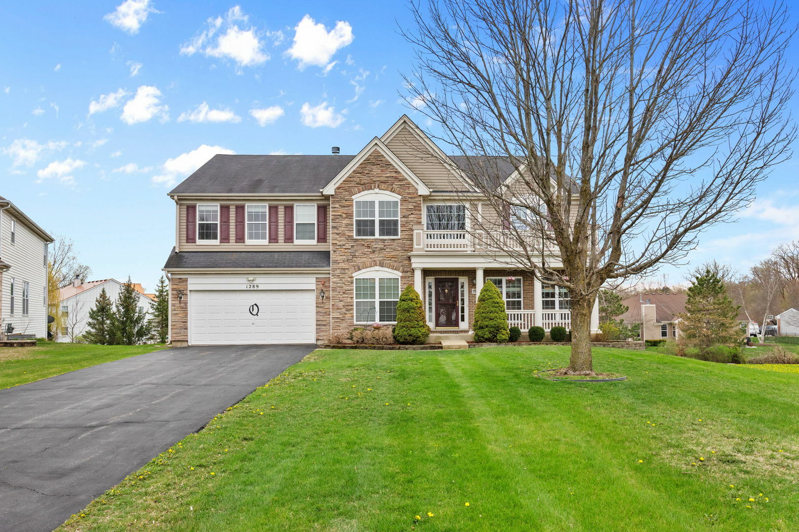 Property Photo: 1289 Mallard Lane IL 60192
