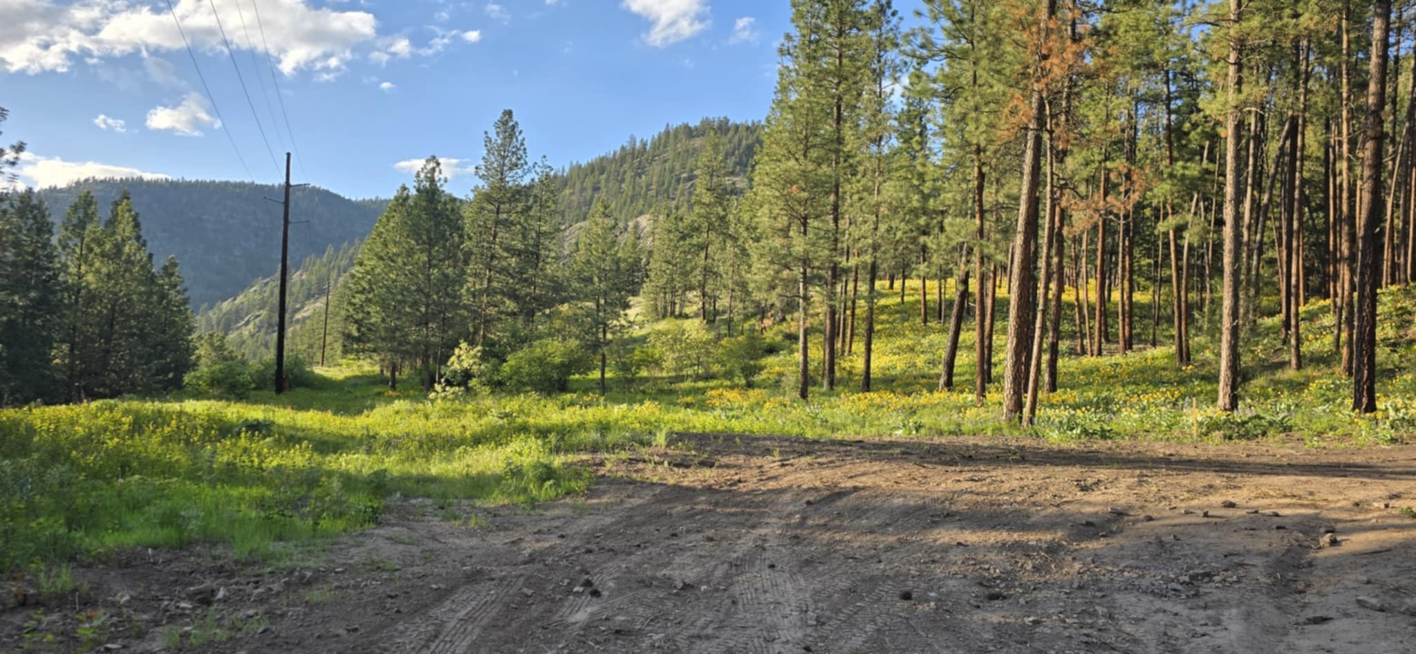 Property Photo:  Nhn Profile Rock  MT 59820 