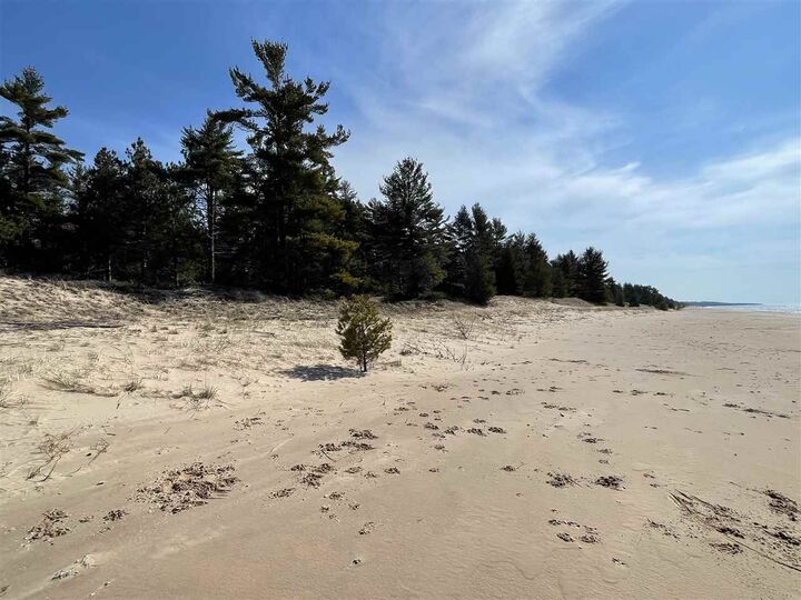 Property Photo:  W Top O' The Lake 9.50 Acres  MI 49840 