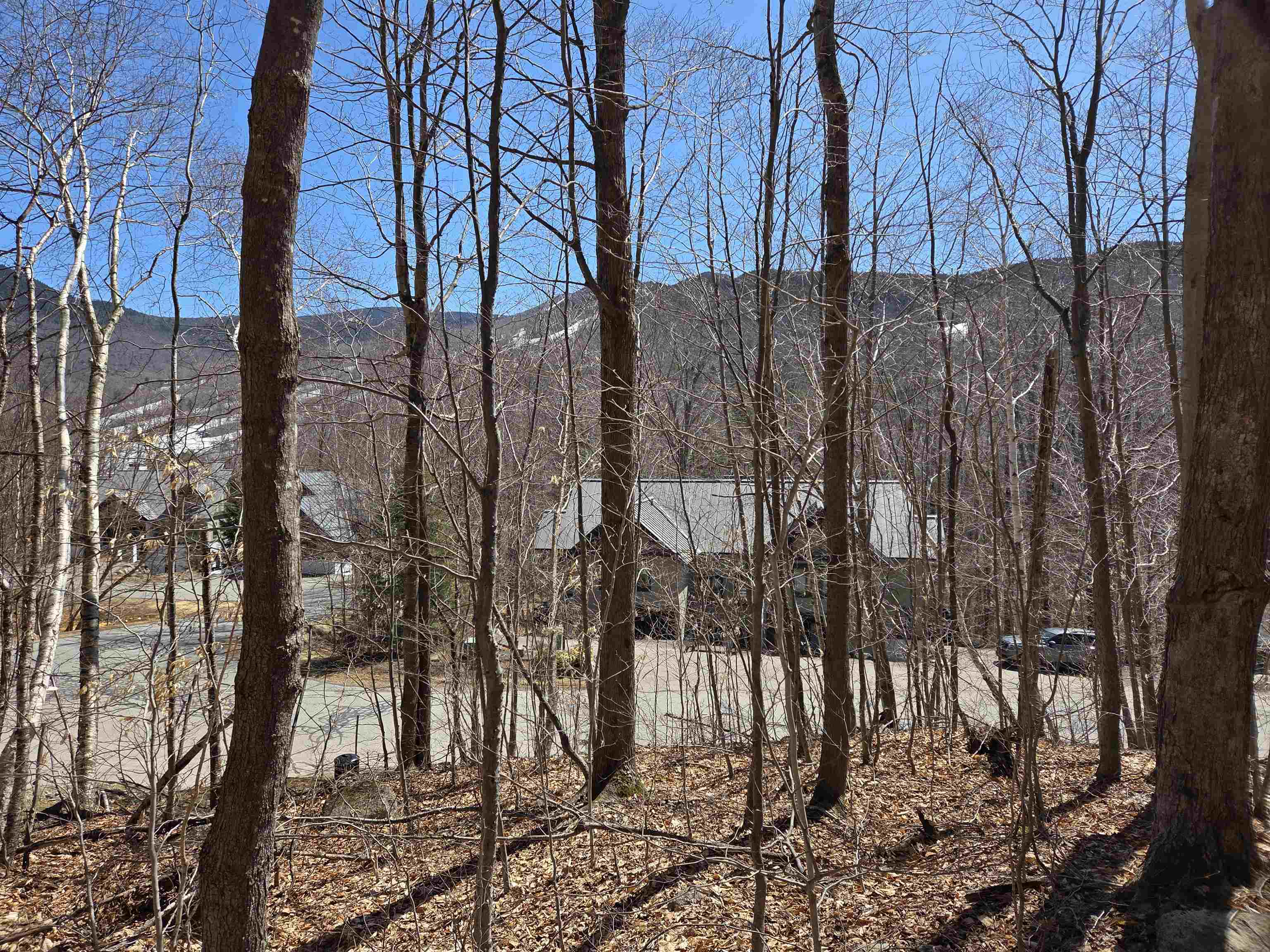 Property Photo: 58 Westview Road NH 03251