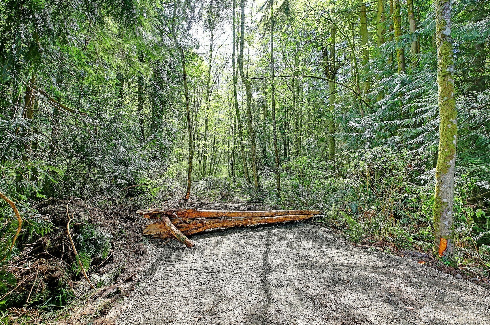 Property Photo: 100 W Mountain View Road WA 98282