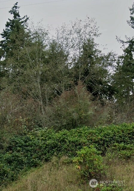 4434  Pacific Dogwood Drive  Freeland WA 98249 photo